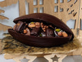 Cabosse en chocolat garnie